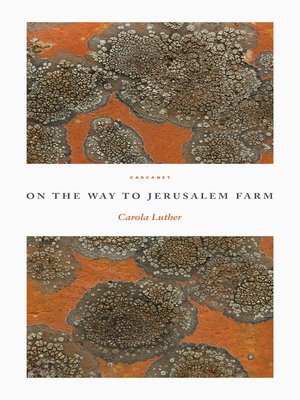 cover image of On the Way to Jerusalem Farm